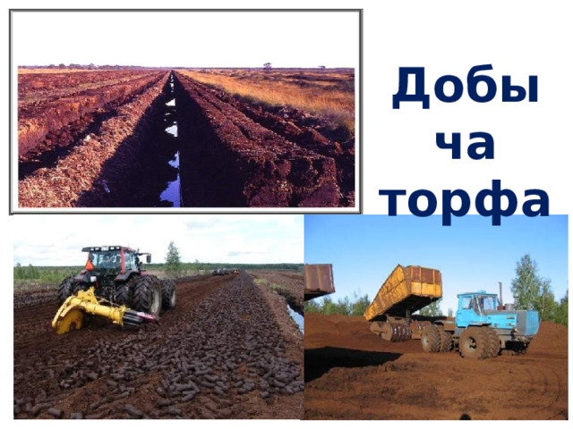 Добыча торфа 