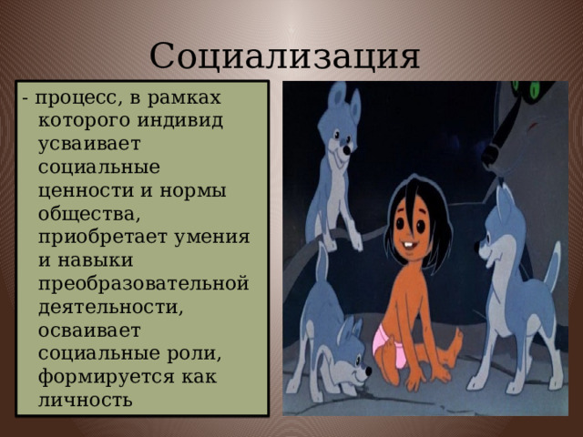 Социализация - процесс, в рамках которого индивид усваивает социальные ценности и нормы общества, приобретает умения и навыки преобразовательной деятельности, осваивает социальные роли, формируется как личность 