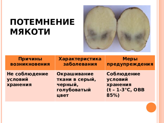 ПОТЕМНЕНИЕ  МЯКОТИ Причины возникновения Не соблюдение условий хранения Характеристика заболевания Меры предупреждения Окрашивание ткани в серый, черный, голубоватый цвет Соблюдение условий хранения ( t – 1-3 °C , ОВВ 85%) 