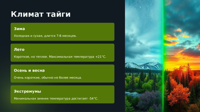  Климат тайги Зима Холодная и сухая, длится 7-8 месяцев. Лето Короткое, но теплое. Максимальная температура +21°C. Осень и весна Очень короткие, обычно не более месяца. Экстремумы Минимальная зимняя температура достигает -54°C. 