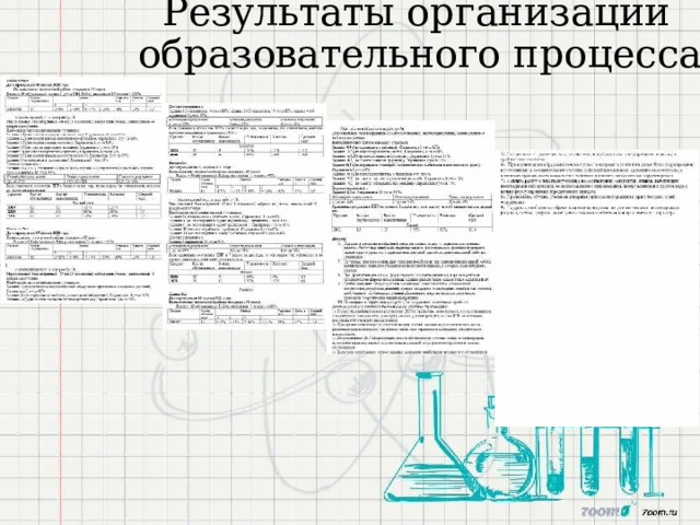 Результаты  организации образовательного  процесса 