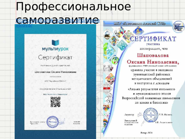Профессиональное  саморазвитие 