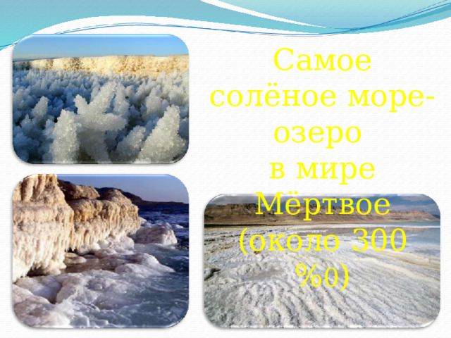 Самое солёное море-озеро в мире Мёртвое (около 300 % 0 ) 