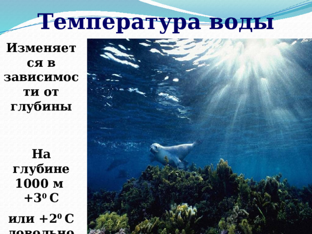 Температура воды Изменяется в зависимости от глубины На глубине 1000 м +3 0 С или +2 0 С довольно постоянная 