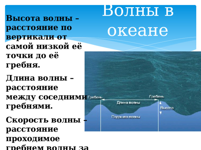 Волны в океане Высота волны – расстояние по вертикали от самой низкой её точки до её гребня. Длина волны – расстояние между соседними гребнями. Скорость волны – расстояние проходимое гребнем волны за единицу времени . 