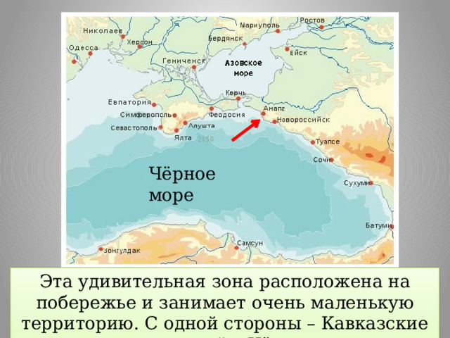 Чёрное море Эта удивительная зона расположена на побережье и занимает очень маленькую территорию. С одной стороны – Кавказские горы, а с другой – Чёрное море. 