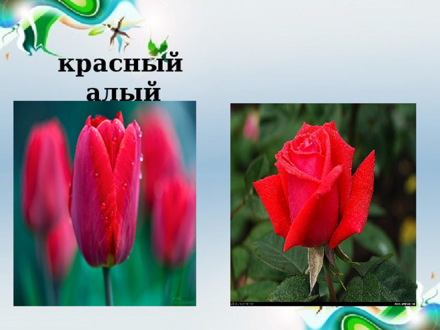  красный алый 