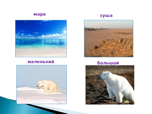 море суша маленький большой  