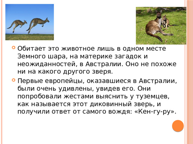 Обитает это животное лишь в одном месте Земного шара, на материке загадок и неожиданностей, в Австралии. Оно не похоже ни на какого другого зверя. Первые европейцы, оказавшиеся в Австралии, были очень удивлены, увидев его. Они попробовали жестами выяснить у туземцев, как называется этот диковинный зверь, и получили ответ от самого вождя: «Кен-гу-ру». 