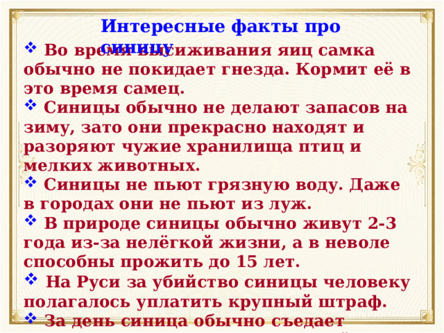Интересные факты про синицу  Во время высиживания яиц самка обычно не покидает гнезда. Кормит её в это время самец.  Синицы обычно не делают запасов на зиму, зато они прекрасно находят и разоряют чужие хранилища птиц и мелких животных.  Синицы не пьют грязную воду. Даже в городах они не пьют из луж.  В природе синицы обычно живут 2-3 года из-за нелёгкой жизни, а в неволе способны прожить до 15 лет.  На Руси за убийство синицы человеку полагалось уплатить крупный штраф.  За день синица обычно съедает количество пищи, равноценное её весу. 