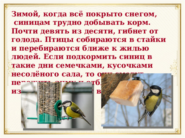Зимой, когда всё покрыто снегом,  синицам трудно добывать корм. Почти девять из десяти, гибнет от голода. Птицы собираются в стайки и перебираются ближе к жилью людей. Если подкормить синиц в такие дни семечками, кусочками несолёного сала, то они смогут пережить зиму и отблагодарить вас, избавив ваш сад от вредителей. 