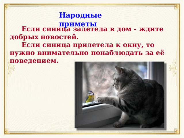 Народные приметы  Если синица залетела в дом - ждите добрых новостей.  Если синица прилетела к окну, то нужно внимательно понаблюдать за её поведением. 