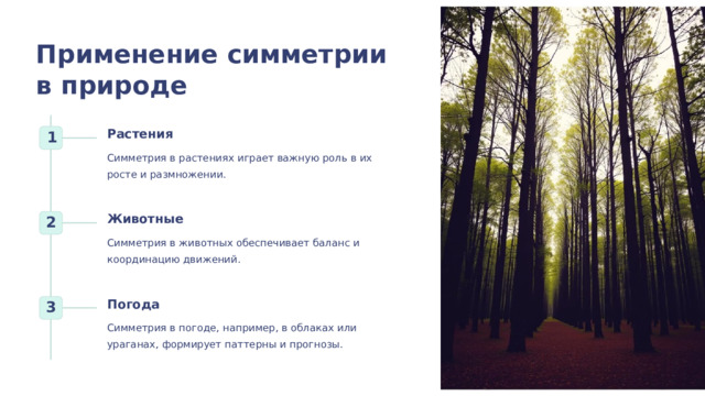  Применение симметрии в природе Растения 1 Симметрия в растениях играет важную роль в их росте и размножении. Животные 2 Симметрия в животных обеспечивает баланс и координацию движений. Погода 3 Симметрия в погоде, например, в облаках или ураганах, формирует паттерны и прогнозы. 