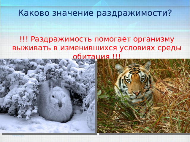 Каково значение раздражимости?   !!! Раздражимость помогает организму выживать в изменившихся условиях среды обитания !!! 