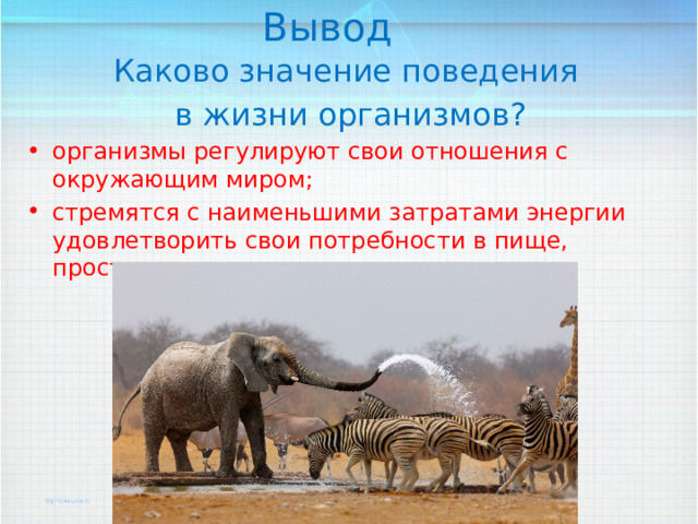 Вывод Каково значение поведения в жизни организмов? организмы регулируют свои отношения с окружающим миром; стремятся с наименьшими затратами энергии удовлетворить свои потребности в пище, пространстве, времени. 