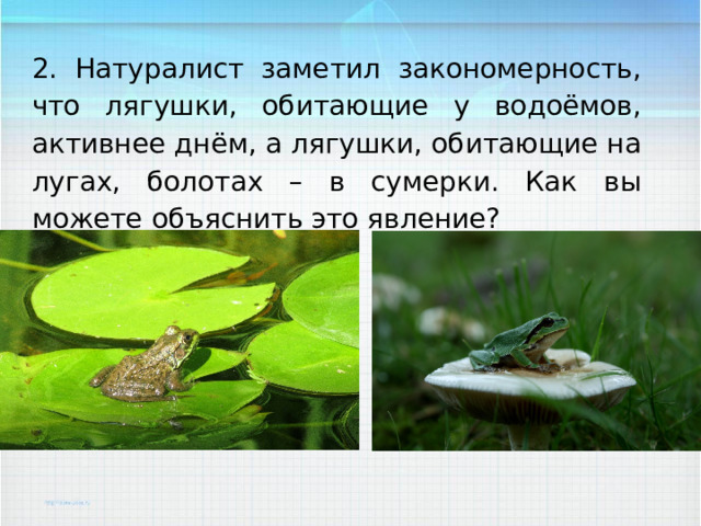 2. Натуралист заметил закономерность, что лягушки, обитающие у водоёмов, активнее днём, а лягушки, обитающие на лугах, болотах – в сумерки. Как вы можете объяснить это явление? 