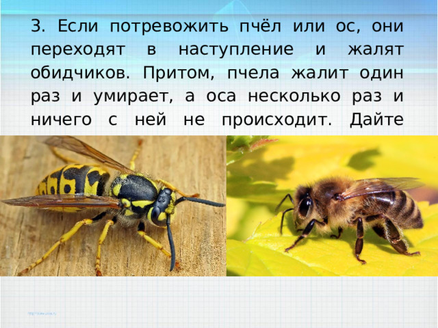 3. Если потревожить пчёл или ос, они переходят в наступление и жалят обидчиков. Притом, пчела жалит один раз и умирает, а оса несколько раз и ничего с ней не происходит. Дайте объяснение этому явлению. 