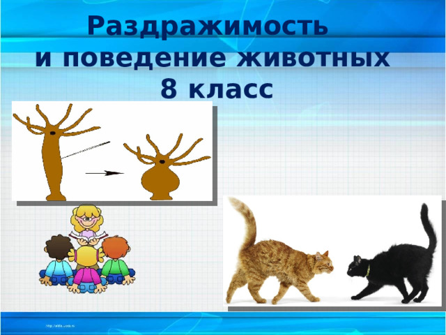 Раздражимость  и поведение животных  8 класс 