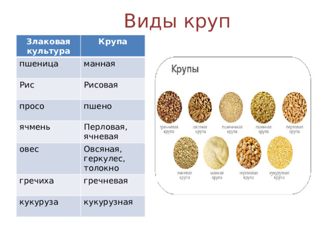 Виды круп Злаковая культура Крупа пшеница манная Рис Рисовая просо ячмень пшено Перловая, ячневая овес Овсяная, геркулес, толокно гречиха гречневая кукуруза кукурузная 