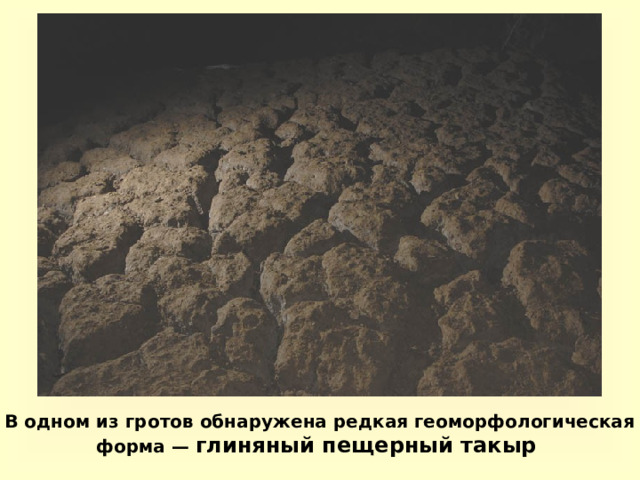 В одном из гротов обнаружена редкая геоморфологическая форма — глиняный пещерный такыр 