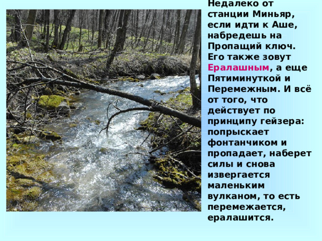 Недалеко от станции Миньяр, если идти к Аше, набредешь на Пропащий ключ. Его также зовут Ералашным , а еще Пятиминуткой и Перемежным. И всё от того, что действует по принципу гейзера: попрыскает фонтанчиком и пропадает, наберет силы и снова извергается маленьким вулканом, то есть перемежается, ералашится. 