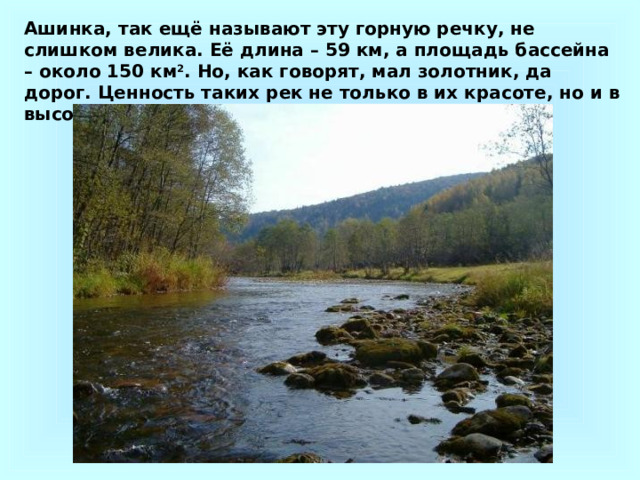 Ашинка, так ещё называют эту горную речку, не слишком велика. Её длина – 59 км, а площадь бассейна – около 150 км 2 . Но, как говорят, мал золотник, да дорог. Ценность таких рек не только в их красоте, но и в высоком качестве воды.  