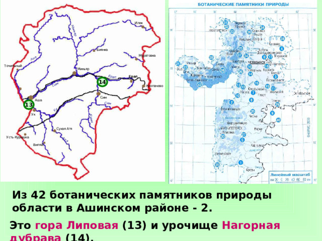 14 13  Из 42 ботанических памятников природы области в Ашинском районе - 2.  Это гора Липовая (13) и урочище Нагорная дубрава (14). 