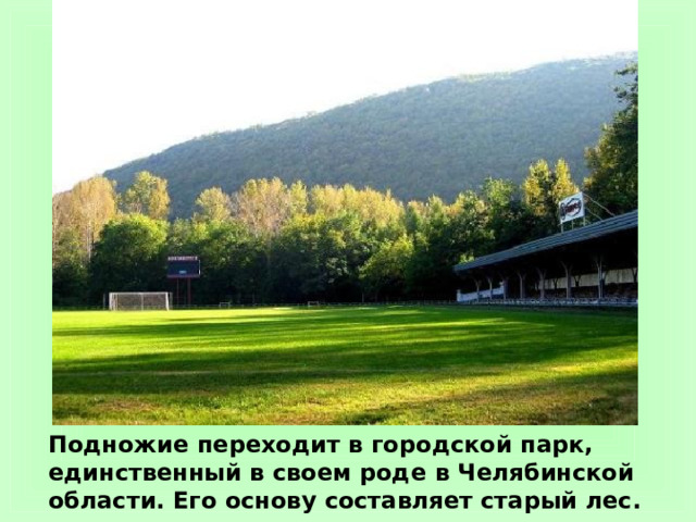 Подножие переходит в городской парк, единственный в своем роде в Челябинской области. Его основу составляет старый лес. 