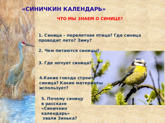 «СИНИЧКИН КАЛЕНДАРЬ» ЧТО МЫ ЗНАЕМ О СИНИЦЕ? 1. Синица – перелетная птица? Где синица проводит лето? Зиму? 2. Чем питаются синицы? 3. Где ночует синица? 4.Какие гнезда строит синица? Какие материалы использует? 5. Почему синицу в рассказе «Синичкин календарь»  звали Зинька? 