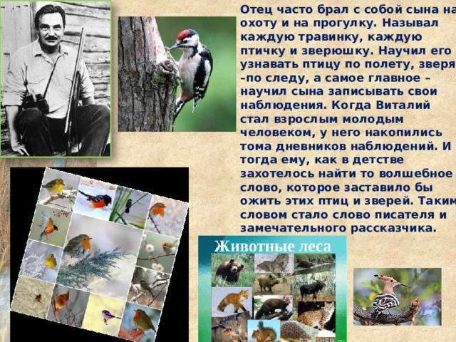 Отец часто брал с собой сына на охоту и на прогулку. Называл каждую травинку, каждую птичку и зверюшку. Научил его узнавать птицу по полету, зверя –по следу, а самое главное –научил сына записывать свои наблюдения. Когда Виталий стал взрослым молодым человеком, у него накопились тома дневников наблюдений. И тогда ему, как в детстве захотелось найти то волшебное слово, которое заставило бы ожить этих птиц и зверей. Таким словом стало слово писателя и замечательного рассказчика. 