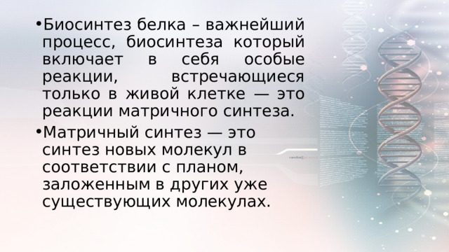 Биосинтез белка – важнейший процесс, биосинтеза который включает в себя особые реакции, встречающиеся только в живой клетке — это реакции матричного синтеза. Матричный синтез — это синтез новых молекул в соответствии с планом, заложенным в других уже существующих молекулах.  