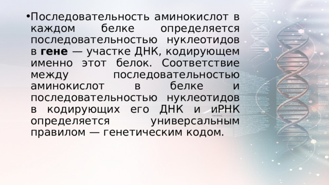 Последовательность аминокислот в каждом белке определяется последовательностью нуклеотидов в гене — участке ДНК, кодирующем именно этот белок. Соответствие между последовательностью аминокислот в белке и последовательностью нуклеотидов в кодирующих его ДНК и иРНК определяется универсальным правилом — генетическим кодом. 