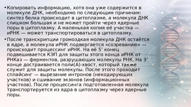 Копировать информацию, хотя она уже содержится в молекуле ДНК, необходимо по следующим причинам: синтез белка происходит в цитоплазме, а молекула ДНК слишком большая и не может пройти через ядерные поры в цитоплазму. А маленькая копия её участка — иРНК — может транспортироваться в цитоплазму. После транскрипции громоздкая молекула ДНК остаётся в ядре, а молекула иРНК подвергается «созреванию» — происходит процессинг иРНК. На её 5’ конец подвешивается КЭП для защиты этого конца иРНК от РНКаз — ферментов, разрушающих молекулы РНК. На 3’ конце достраивается поли(А)-хвост, который также служит для защиты молекулы. После этого проходит сплайсинг — вырезание интронов (некодирующих участков) и сшивание экзонов (информационных участков). После процессинга подготовленная молекула транспортируется из ядра в цитоплазму через ядерные поры. 