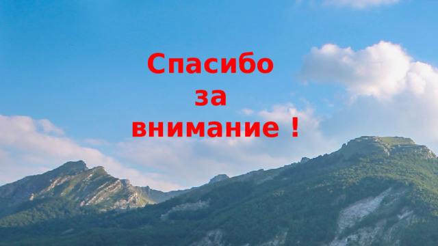 Спасибо за внимание ! 