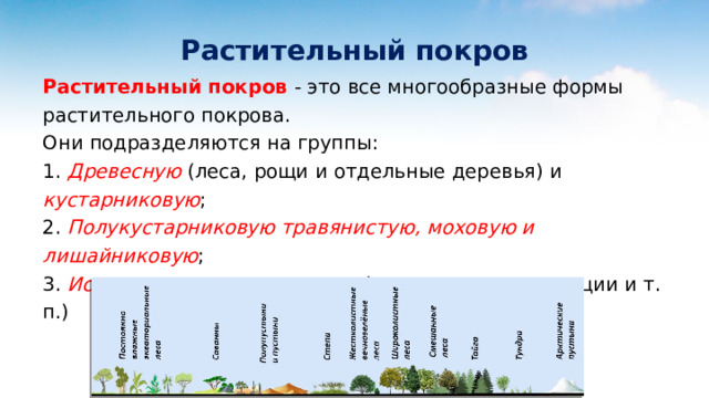 Растительный покров Растительный покров - это все многообразные формы растительного покрова. Они подразделяются на группы: 1. Древесную (леса, рощи и отдельные деревья) и кустарниковую ; 2. Полукустарниковую травянистую, моховую и лишайниковую ; 3. Искусственные насаждения (сады, парки, плантации и т. п.) 