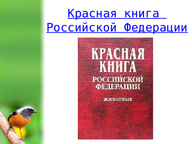 Красная книга Российской Федерации 