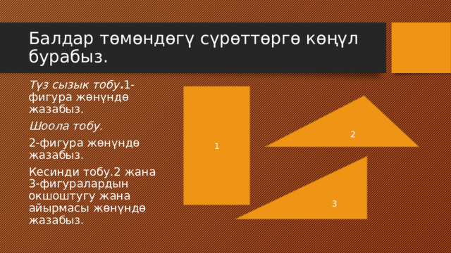 Балдар төмөндөгү сүрөттөргө көңүл бурабыз. 1 Түз сызык тобу . 1-фигура жөнүндө жазабыз. Шоола тобу. 2-фигура жөнүндө жазабыз. Кесинди тобу.2 жана 3-фигуралардын окшоштугу жана айырмасы жөнүндө жазабыз. 2 3 