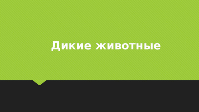 Дикие животные 
