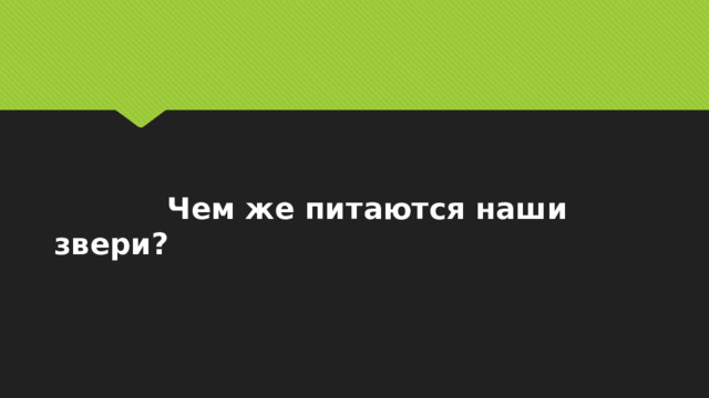  Чем же питаются наши звери? 