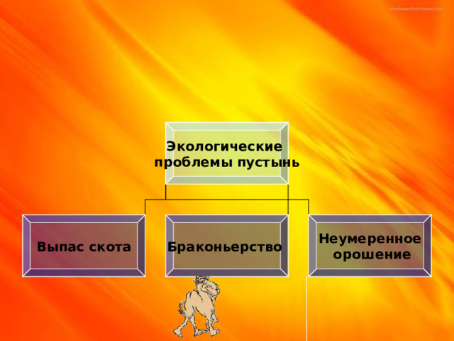 Песчаный ужик Экологические проблемы пустынь Выпас скота Браконьерство Неумеренное  орошение 