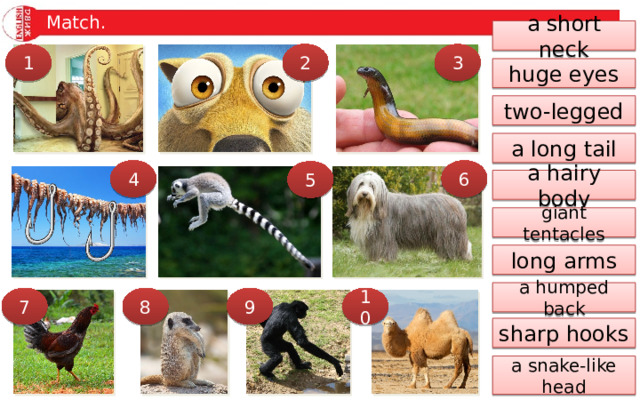 Match. a short neck 2 3 1 huge eyes two-legged a long tail 4 6 5 a hairy body giant tentacles long arms a humped back 7 8 9 10 sharp hooks a snake-like head 