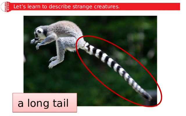 Let’s learn to describe strange creatures. a long tail 