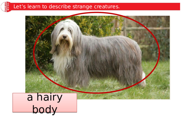 Let’s learn to describe strange creatures. a hairy body 
