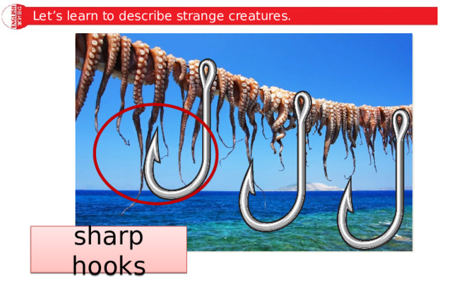 Let’s learn to describe strange creatures. sharp hooks 