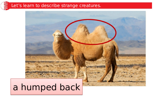 Let’s learn to describe strange creatures. a humped back 