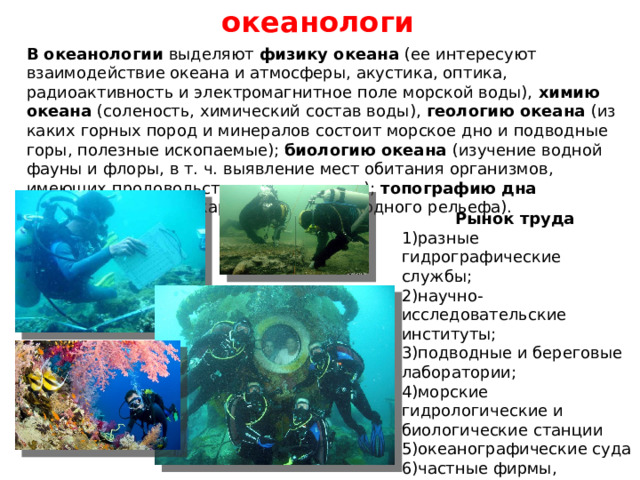 Какие науки изучают океан