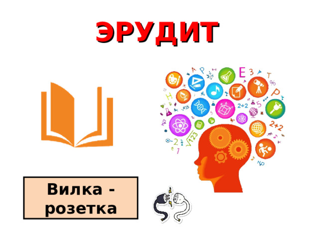  ЭРУДИТ Вилка - розетка 
