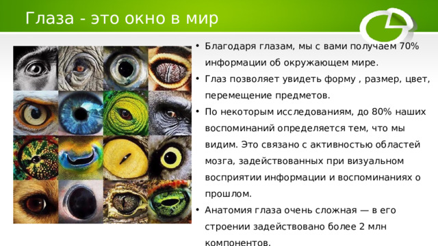 Глаза - это окно в мир Благодаря глазам, мы с вами получаем 70% информации об окружающем мире. Глаз позволяет увидеть форму , размер, цвет, перемещение предметов. По некоторым исследованиям, до 80% наших воспоминаний определяется тем, что мы видим. Это связано с активностью областей мозга, задействованных при визуальном восприятии информации и воспоминаниях о прошлом. Анатомия глаза очень сложная — в его строении задействовано более 2 млн компонентов. Глаза являются вторым наиболее сложным органом после мозга. 