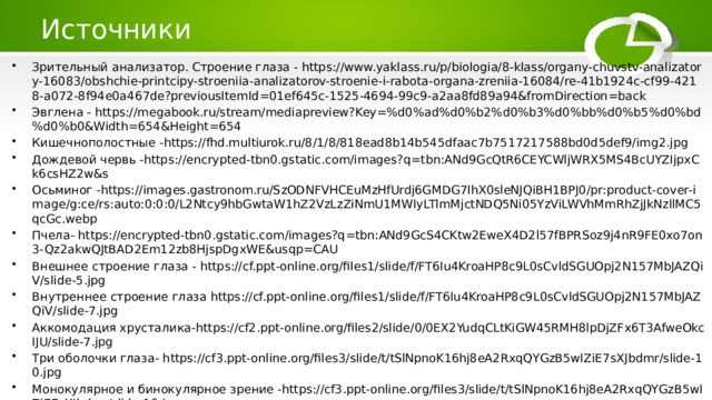 Источники Зрительный анализатор. Строение глаза - https://www.yaklass.ru/p/biologia/8-klass/organy-chuvstv-analizatory-16083/obshchie-printcipy-stroeniia-analizatorov-stroenie-i-rabota-organa-zreniia-16084/re-41b1924c-cf99-4218-a072-8f94e0a467de?previousItemId=01ef645c-1525-4694-99c9-a2aa8fd89a94&fromDirection=back Эвглена - https://megabook.ru/stream/mediapreview?Key=%d0%ad%d0%b2%d0%b3%d0%bb%d0%b5%d0%bd%d0%b0&Width=654&Height=654 Кишечнополостные -https://fhd.multiurok.ru/8/1/8/818ead8b14b545dfaac7b7517217588bd0d5def9/img2.jpg Дождевой червь -https://encrypted-tbn0.gstatic.com/images?q=tbn:ANd9GcQtR6CEYCWljWRX5MS4BcUYZIjpxCk6csHZ2w&s Осьминог -https://images.gastronom.ru/SzODNFVHCEuMzHfUrdj6GMDG7lhX0sleNJQiBH1BPJ0/pr:product-cover-image/g:ce/rs:auto:0:0:0/L2Ntcy9hbGwtaW1hZ2VzLzZiNmU1MWIyLTlmMjctNDQ5Ni05YzViLWVhMmRhZjJkNzllMC5qcGc.webp Пчела- https://encrypted-tbn0.gstatic.com/images?q=tbn:ANd9GcS4CKtw2EweX4D2l57fBPRSoz9j4nR9FE0xo7on3-Qz2akwQJtBAD2Em12zb8HjspDgxWE&usqp=CAU Внешнее строение глаза - https://cf.ppt-online.org/files1/slide/f/FT6Iu4KroaHP8c9L0sCvldSGUOpj2N157MbJAZQiV/slide-5.jpg Внутреннее строение глаза https://cf.ppt-online.org/files1/slide/f/FT6Iu4KroaHP8c9L0sCvldSGUOpj2N157MbJAZQiV/slide-7.jpg Аккомодация хрусталика-https://cf2.ppt-online.org/files2/slide/0/0EX2YudqCLtKiGW45RMH8lpDjZFx6T3AfweOkcIJU/slide-7.jpg Три оболочки глаза- https://cf3.ppt-online.org/files3/slide/t/tSlNpnoK16hj8eA2RxqQYGzB5wIZiE7sXJbdmr/slide-10.jpg Монокулярное и бинокулярное зрение -https://cf3.ppt-online.org/files3/slide/t/tSlNpnoK16hj8eA2RxqQYGzB5wIZiE7sXJbdmr/slide-16.jpg 