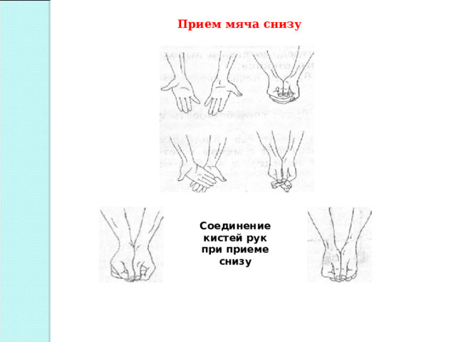 Прием мяча снизу Соединение кистей рук при приеме снизу 